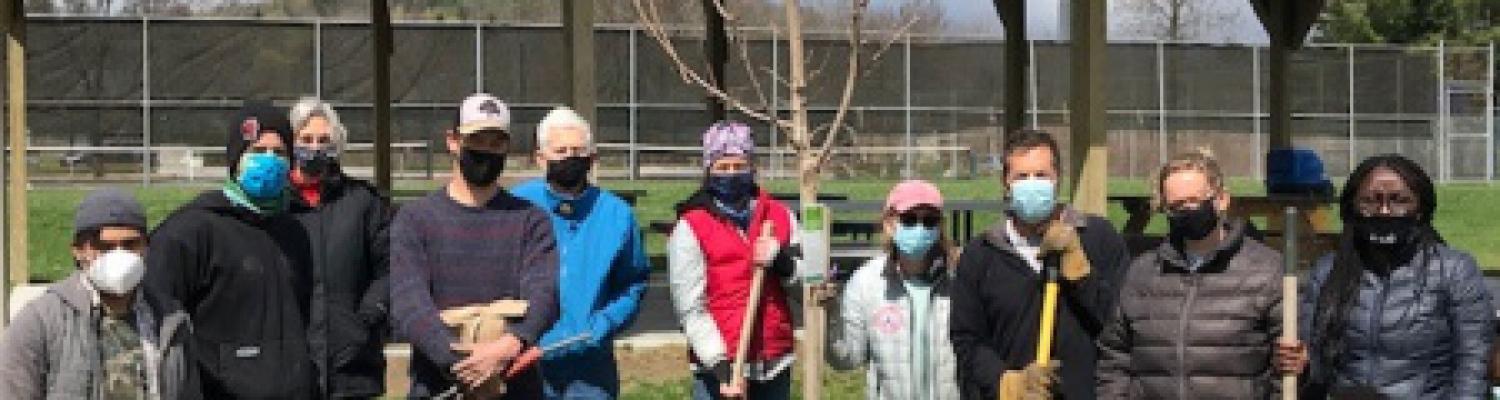 Middlebury Tree Planting