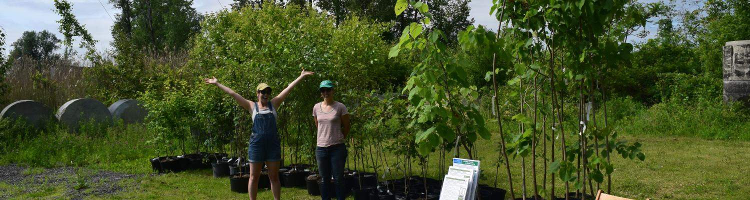 Community Canopy Pick Up Event