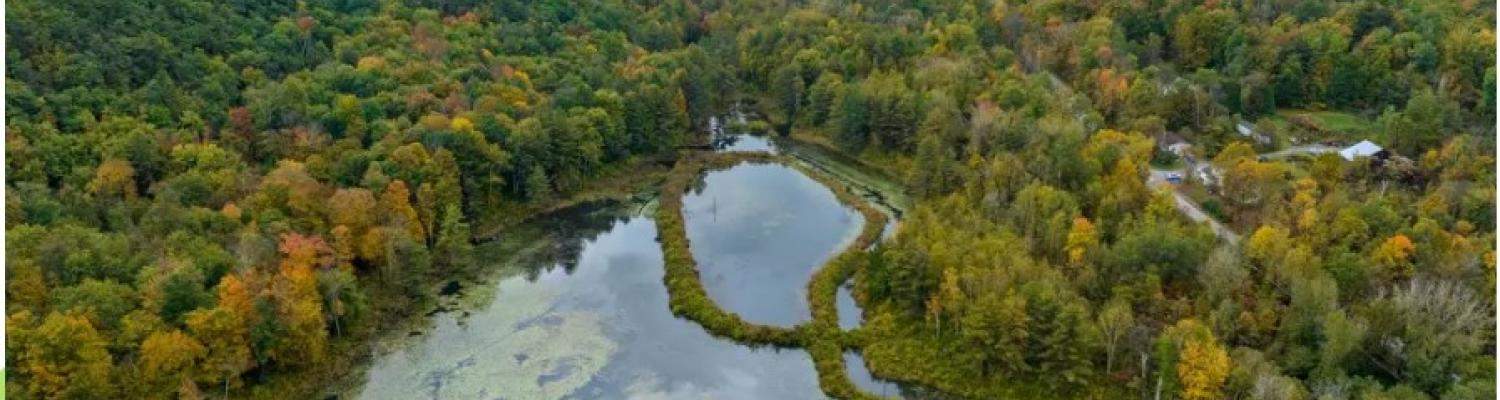 Aerial view of Monkton Town Forest, Vermont