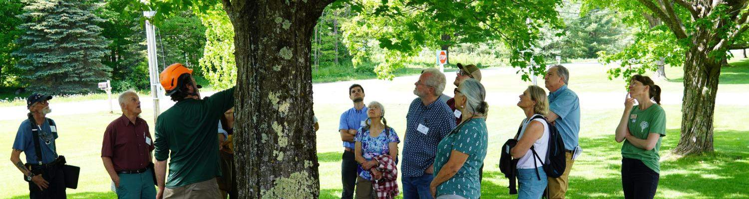 Urban & Community Forestry Conference, Pruning Workshop