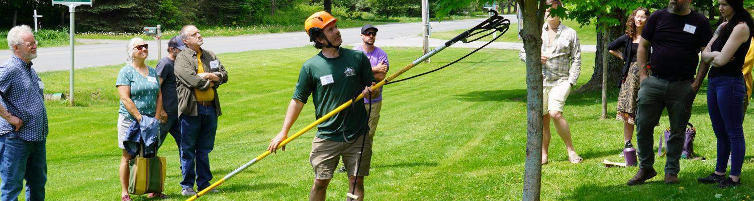 Pruning demonstration
