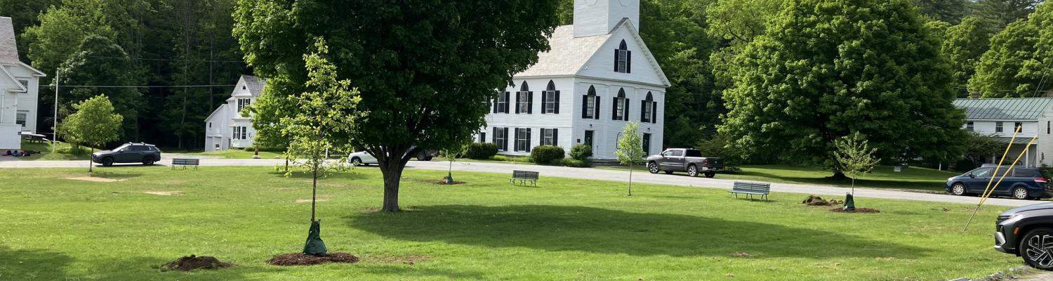 Townshend town green