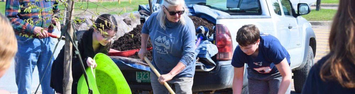 Essex school planting